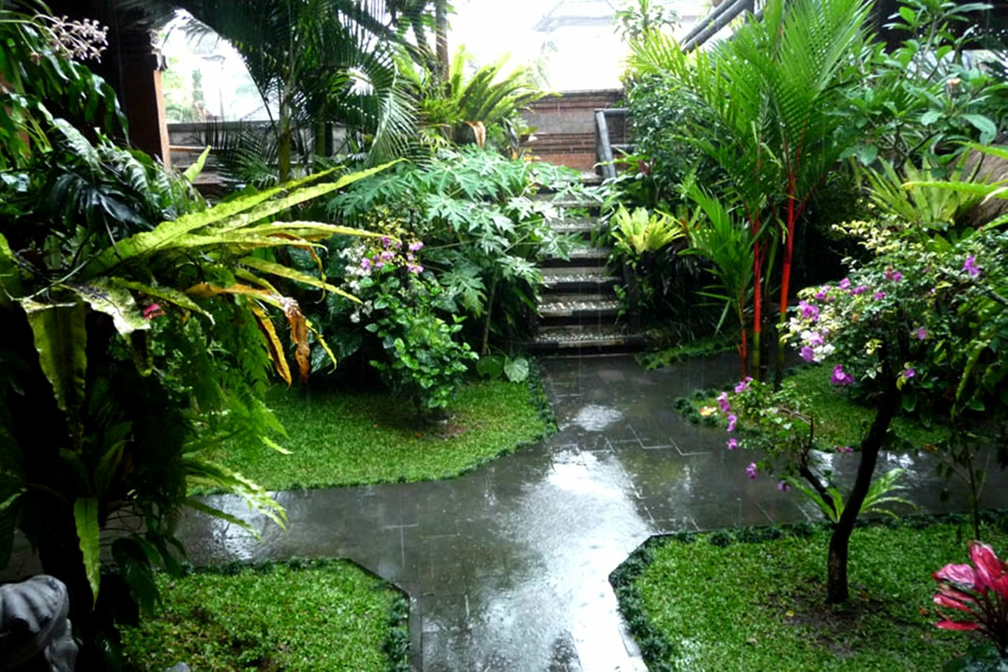 Hibiscus Cottages Ubud Kültér fotó