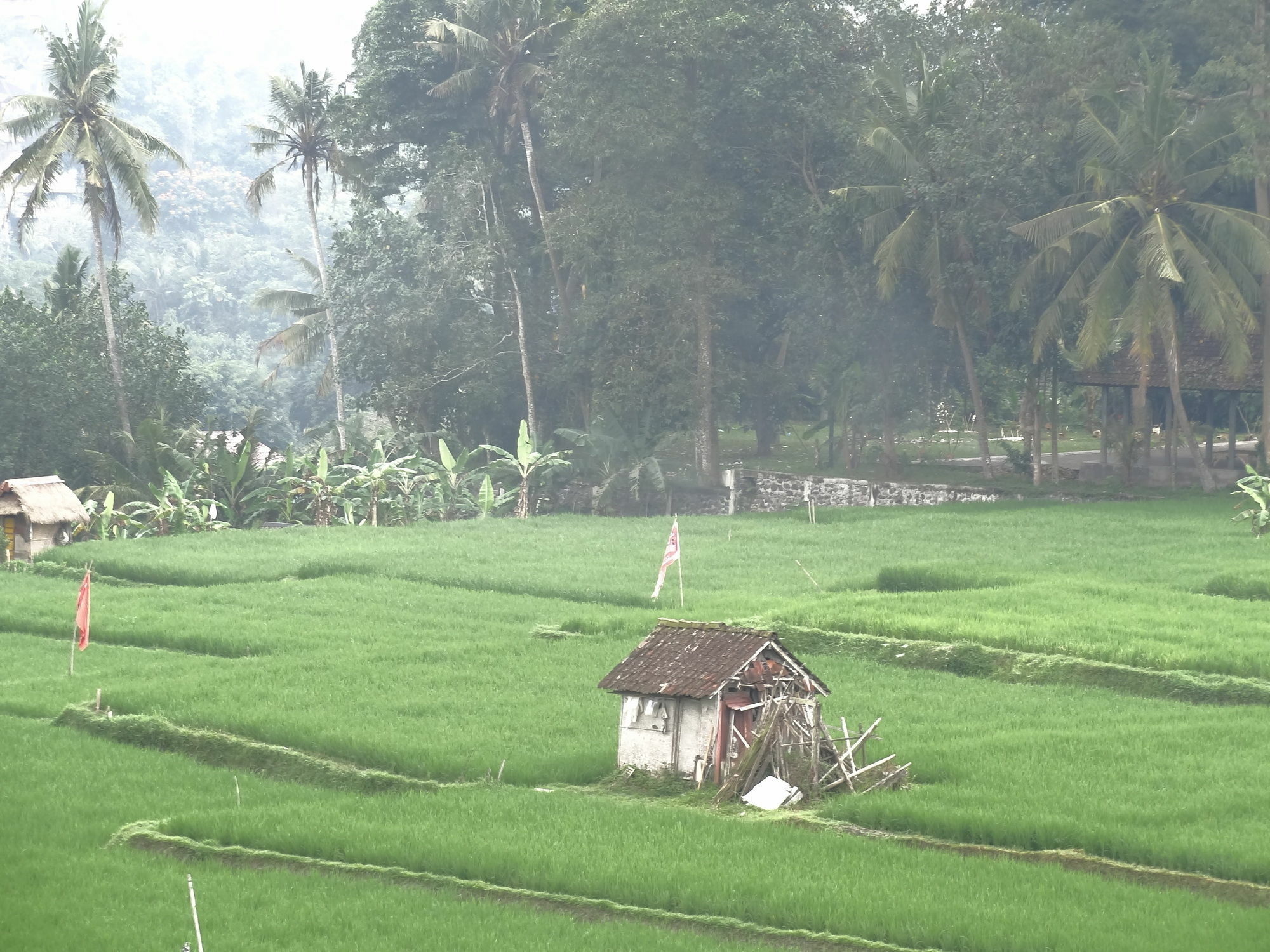 Hibiscus Cottages Ubud Kültér fotó